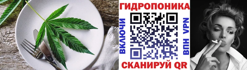 наркошоп  Мурино  Canna-Cookies марихуана 